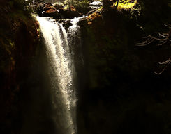 Falls Creek Falls
Oregon Waterfalls