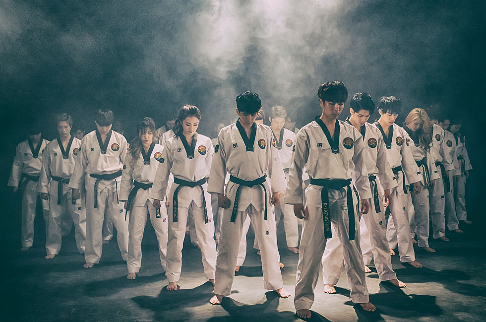 K-Tigers aim to grow Taekwondo as a cultural art form—not strictly a sport—conveying discipline, creativity, and physical artistry to both martial artists and general audiences.