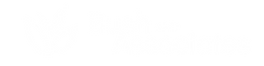 Bush and Associates primary logo