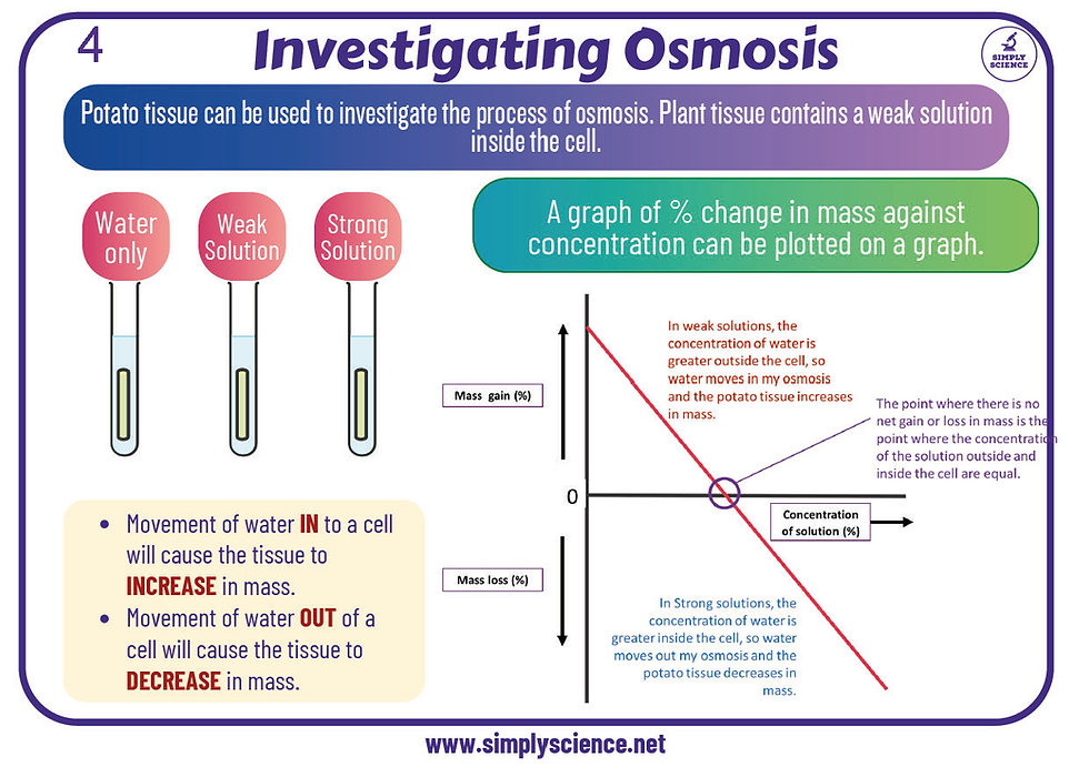 Thumbnail: GCSE DA Science Biology Unit 2 Revision Deck