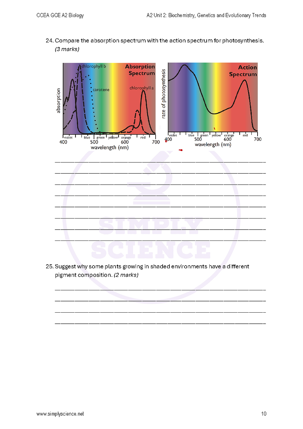 Thumbnail: A2-2 Biology- Photosynthesis Revision Questions