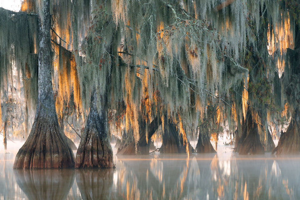 AdobeStock_182602813.jpeg