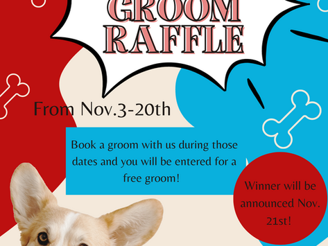 FREE GROOM RAFFLE!