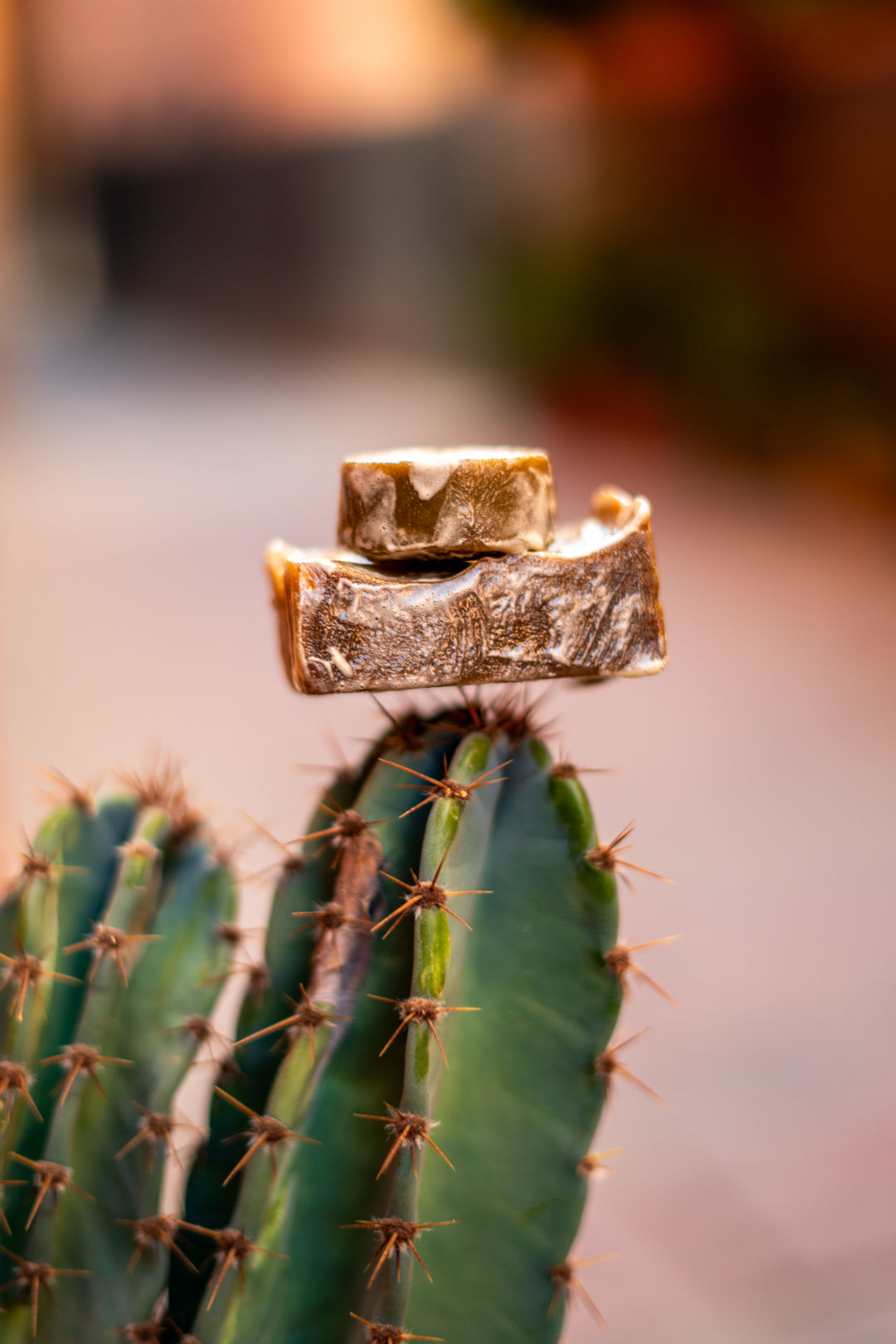 Shampoing solide d'argan et ortie