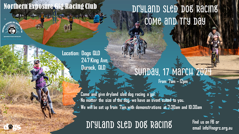 Dryland Sleddog Sports - Come and Try/Demonstration