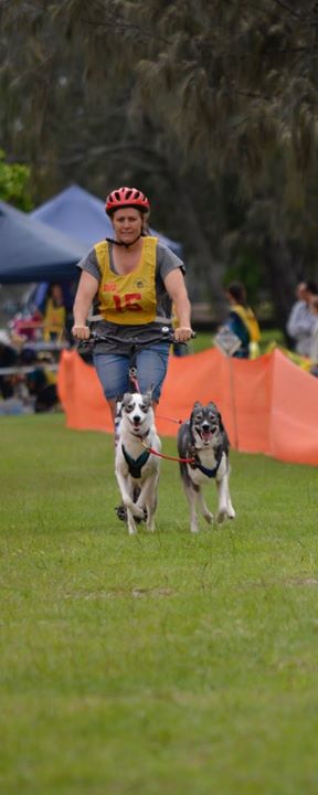 2 Dog Team