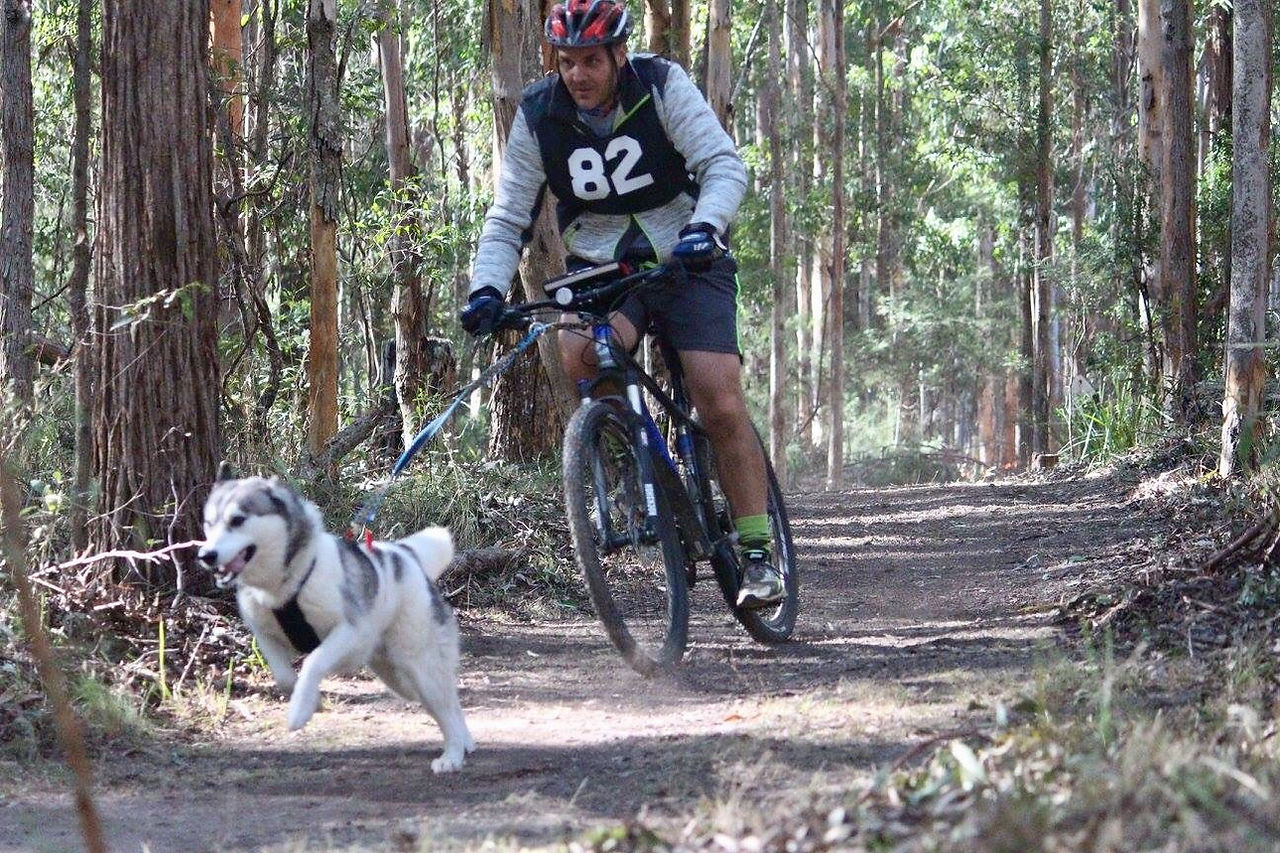 Northern Challenge Bikejor