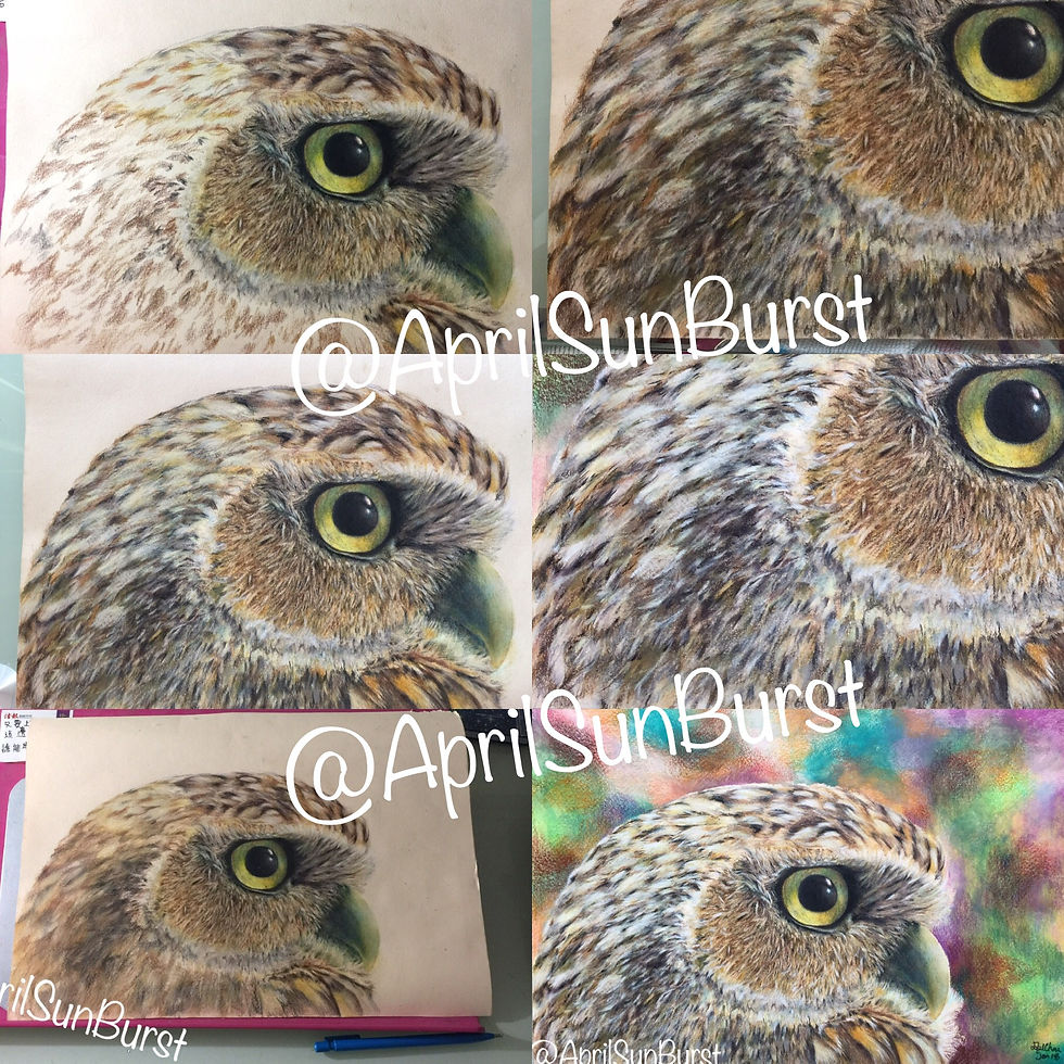 Thumbnail: Owl painting, wildlife animal, colored pencils