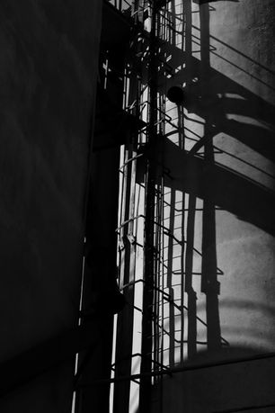 עותק של IMG_5628.JPG