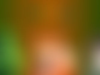 Wir blicken zurück auf das Jahr 2025