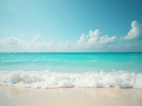 CITM 2025 Hosted Buyers Program