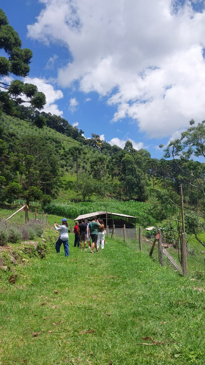 Visita guiada