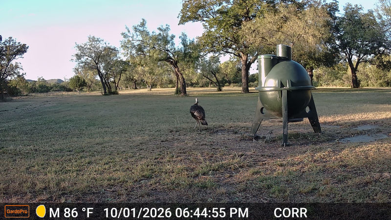 261001_1844_Corral
