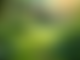 The Importance of Sustainable Living in Today's World