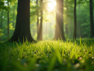 The Importance of Sustainable Living for Future Generations