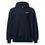 Thumbnail: And To The Republic For Which I Stand Hoodie