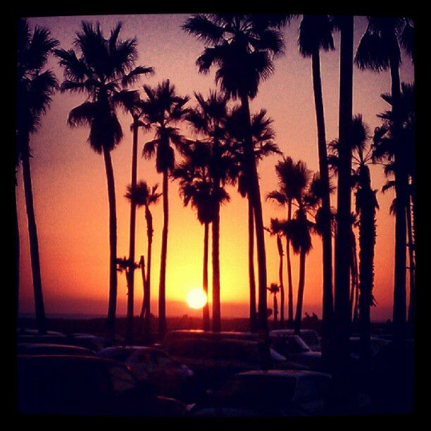 Fire in the sky