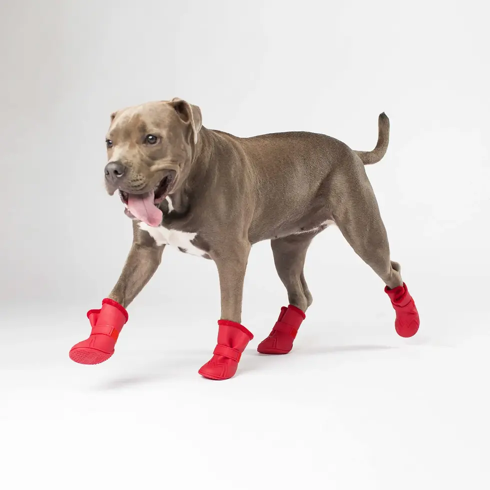 Thumbnail: Pawee Boots