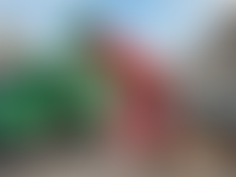 Eco-Friendly Sofa Removal Solutions in London