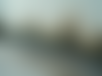 Affordable Mould Removal Costs Explained for UK Residents