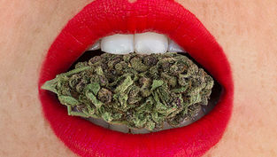 Cannabis & Cottonmouth