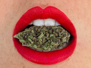 Cannabis & Cottonmouth