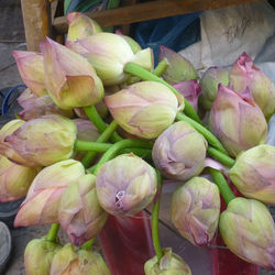 P1060264