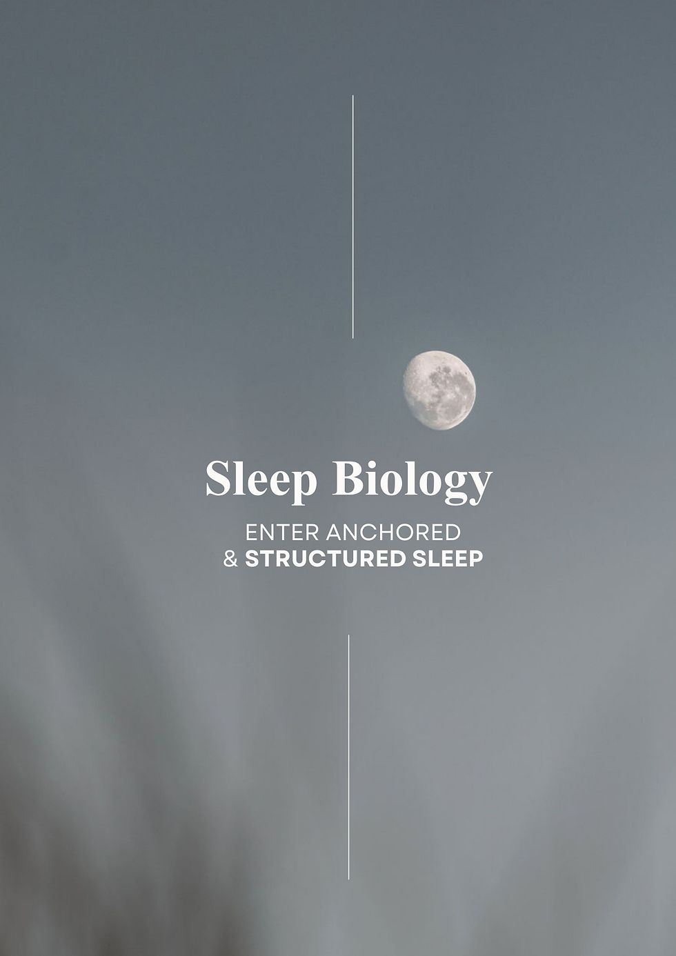 Sleep Biology