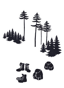 wald-wandern.jpg