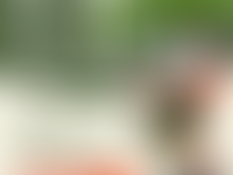 平日・日曜限定！コテージ割引キャンペーン中！