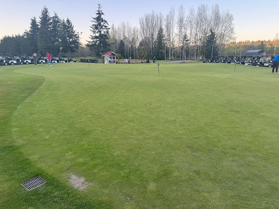 Willows Run Practice Putting Green