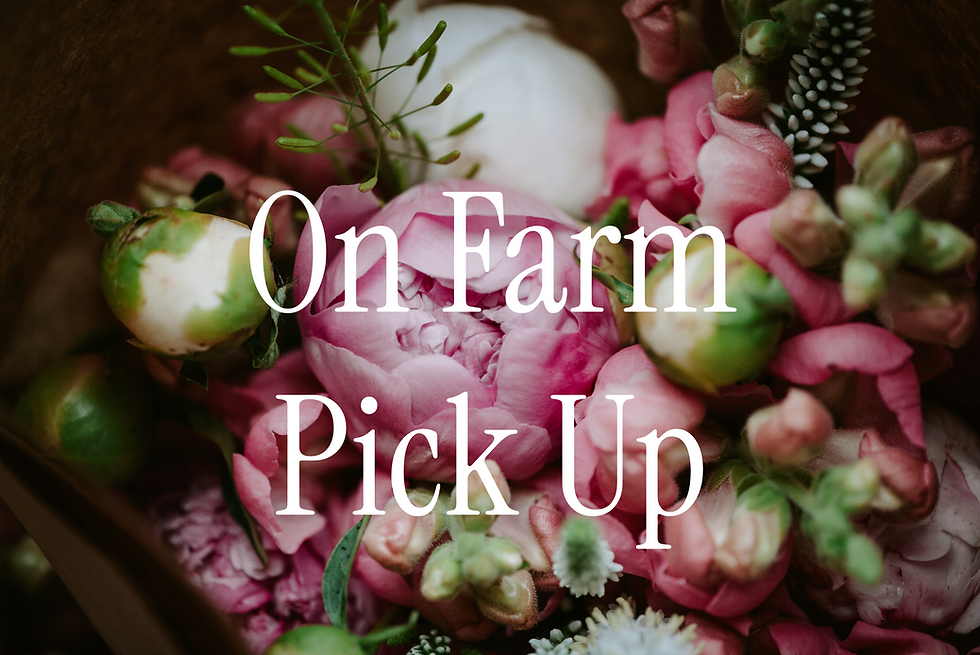 Spring Subscription On Farm Pick Up