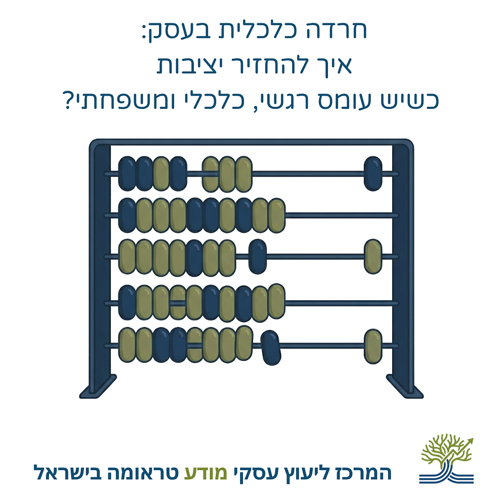 חשבוניה ומעל הכיתוב: חרדה כלכלית בעסק: איך להחזיר יציבות כשיש עומס רגשי, כלכלי ומשפחתי?