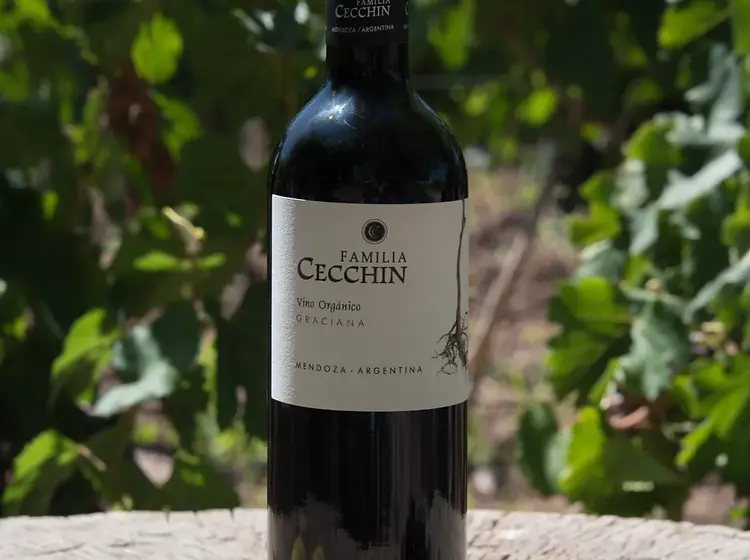 Vino Orgánico Graciana (6 x 750ml)