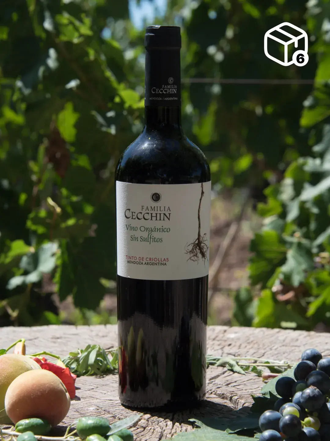 Vino Orgánico Tinto de Criollas Sin Sulfitos (6 x 750ml)