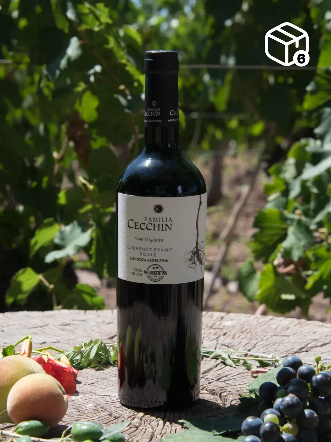Vino Orgánico Cabernet Franc Roble (6 x 750ml)