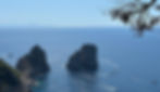 thumbnail.jpeg
