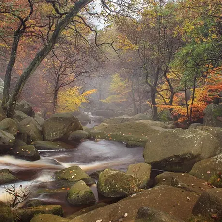 Padley Gorge