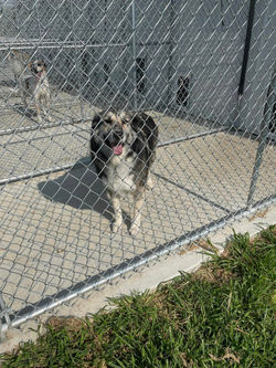 363315147_963810975037081_3432575278492682591_n