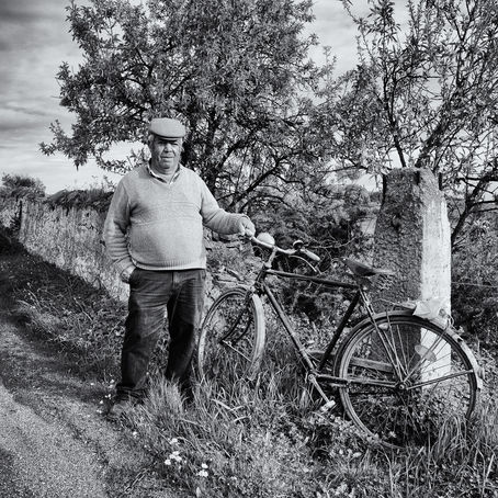 bicycle treasures à algarvios