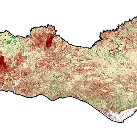 Algarve mais seco no final de Maio de 2017, comparativamente com 2016