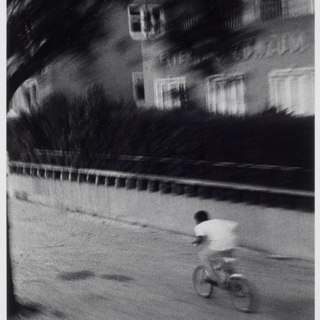 bicycle photography treasures .5