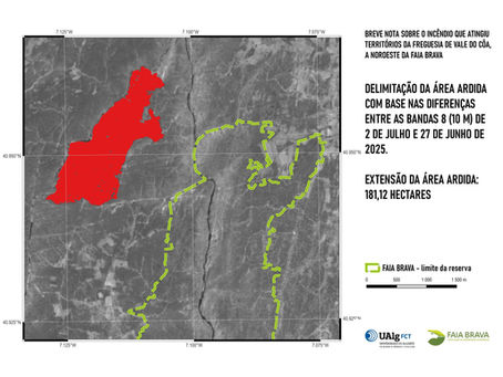 BREVE NOTA SOBRE O INCÊNDIO QUE ATINGIU TERRITÓRIOS DA FREGUESIA DE VALE DO CÔA, A NOROESTE DA RESERVA DA FAIA BRAVA