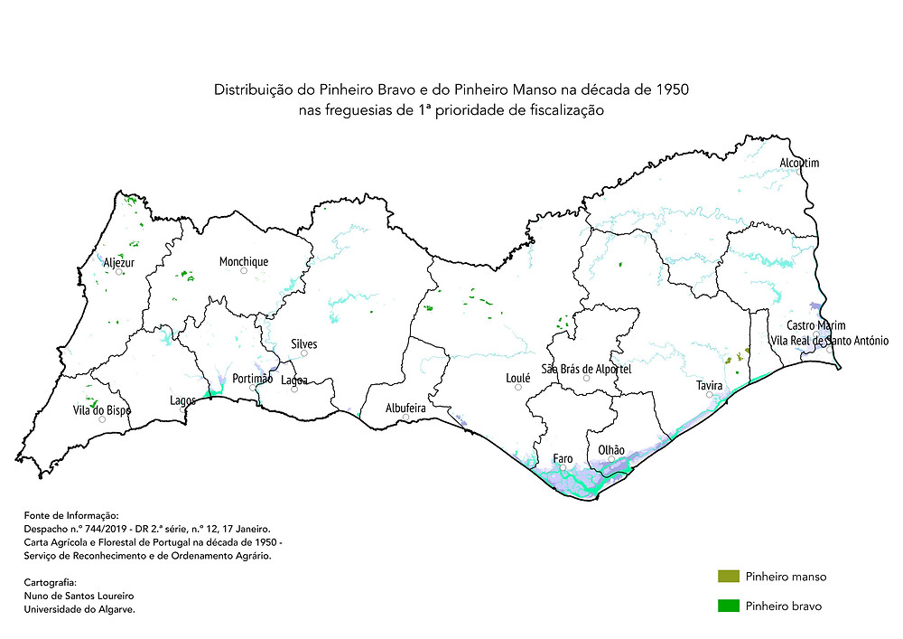 Pinheiros em 1950