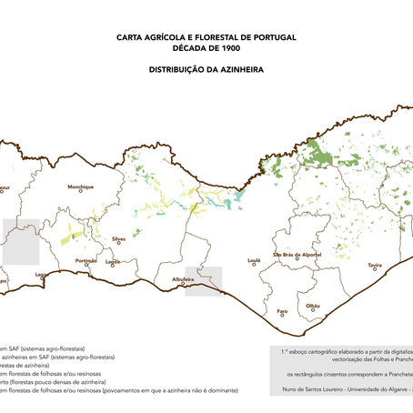 Sobreiros e azinheiras no Algarve, em 1900s e 1950s