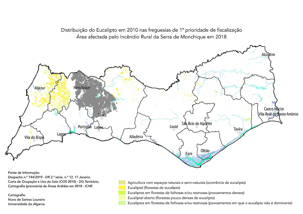 Distribuição do Eucalipto no Algarve 2010