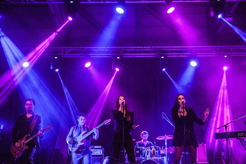 mnemosyne concert live musique