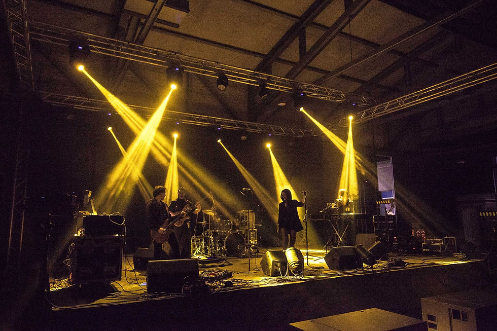 mnemosyne concert live musique