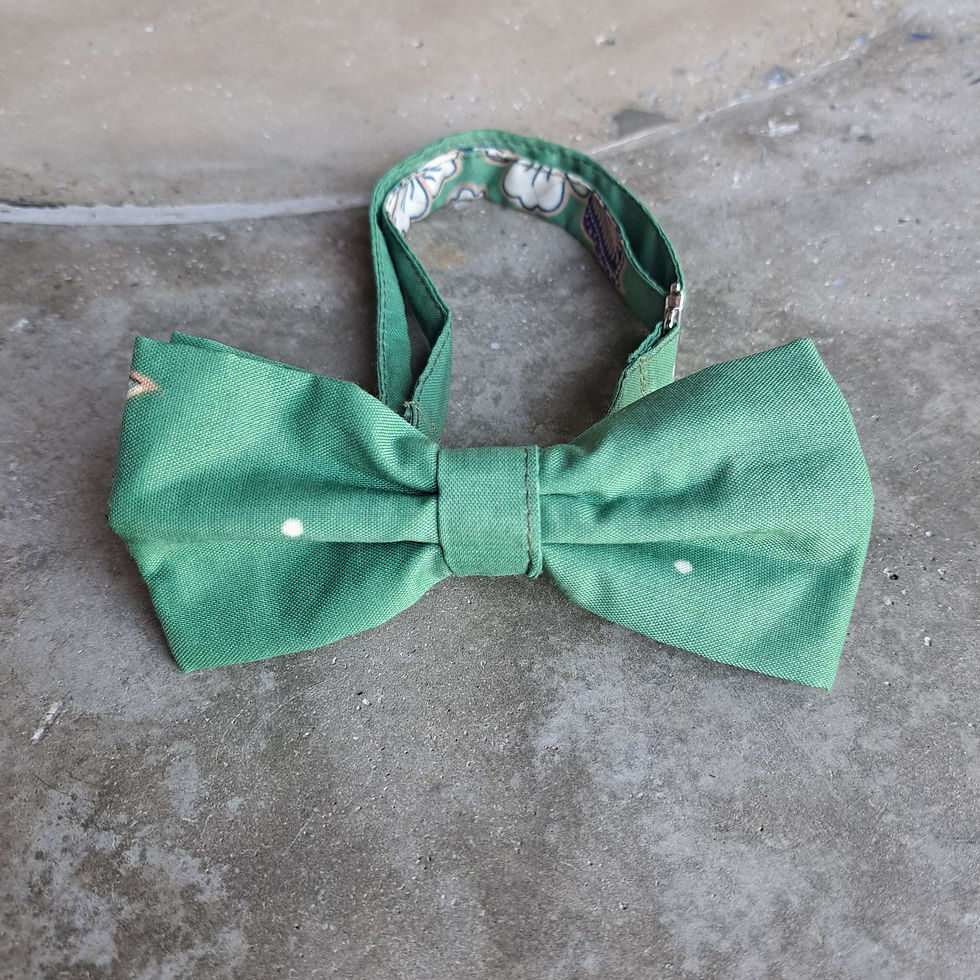 HANDMADE MINT BOWTIE