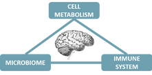 "Research Roundup" July 2021 Edition